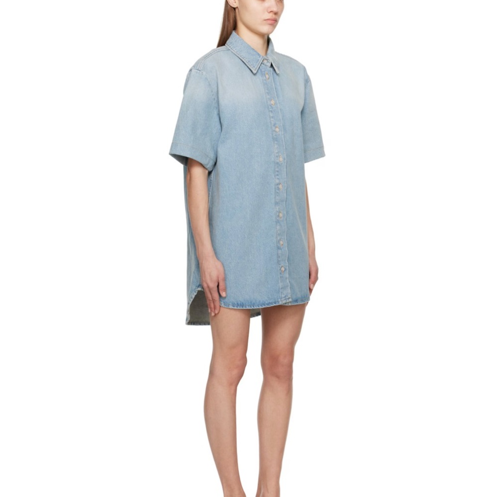 LouLou Studio Denim Dress